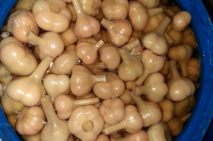 Продам маринованный АРБУЗ- фото № 5