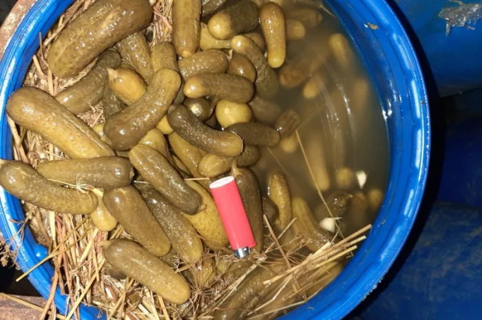 Продам маринованный АРБУЗ- фото № 6