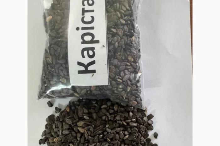 Насіння кавунів від виробника- фото № 2