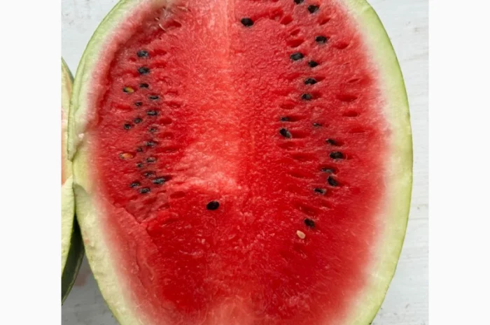 Продам кавуни Карістан 20т дуже солодкі та смачні у Новомосковському рні Дніпропетр.обл- фото № 1