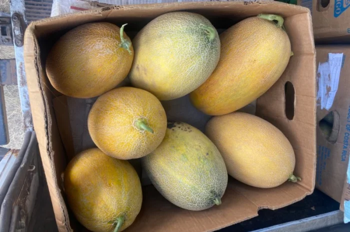 Куплю/Продам- фото № 1