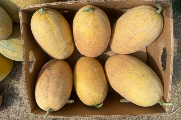 Куплю/Продам- фото № 2