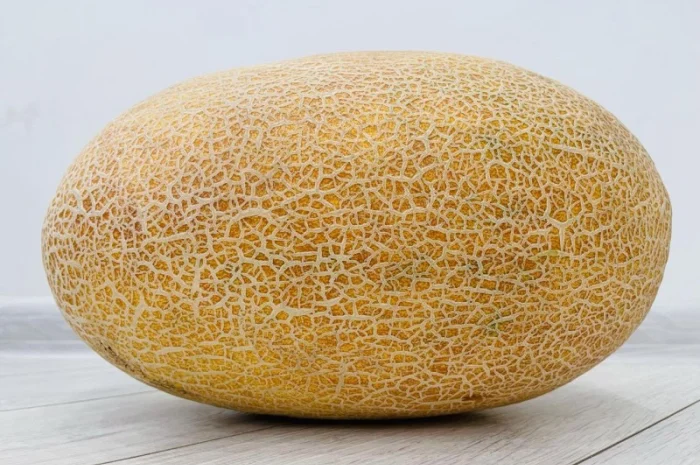 Продам диню Сара F1- фото № 1