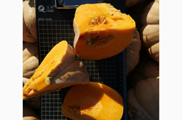 Продам Тыкву- фото № 5