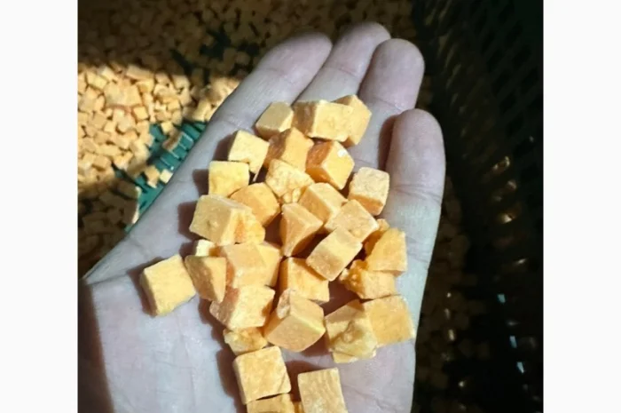 Продам гарбуз заморожений. Нарізка кубиком- фото № 2