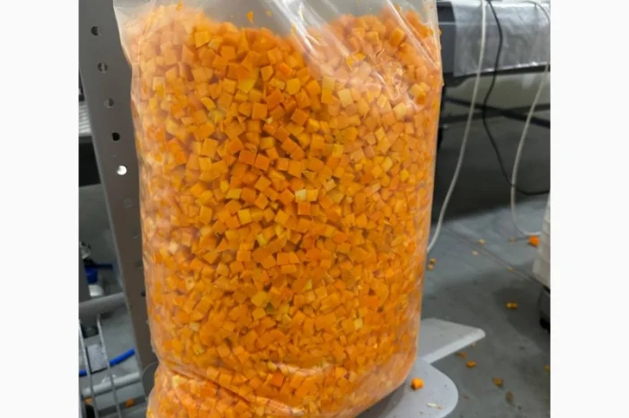 Продам гарбуз мускатних сортів, кубік 10*10м заморожений- фото № 4