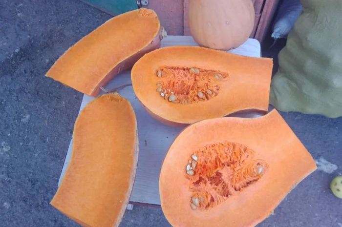 Продам гарбузы- фото № 1