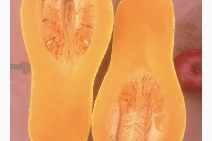 Продам гарбуз - арабатський плоди від 0, 5 кг -15 кг- фото № 4