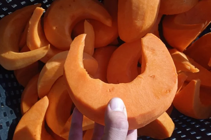 Продам чищенную тыкву оптом- фото № 5