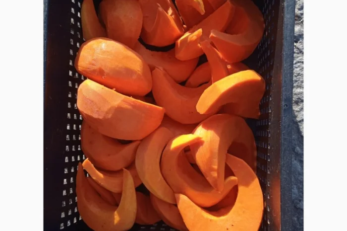 Продам чищенную тыкву оптом- фото № 6