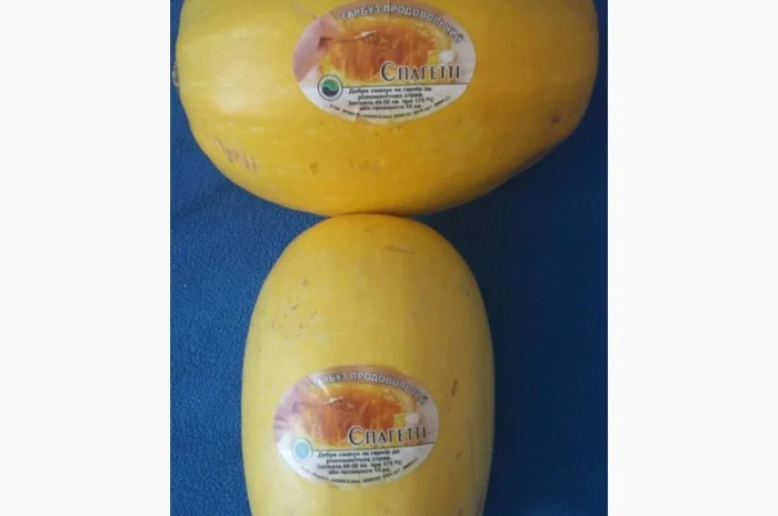 Продам тыкву- фото № 9