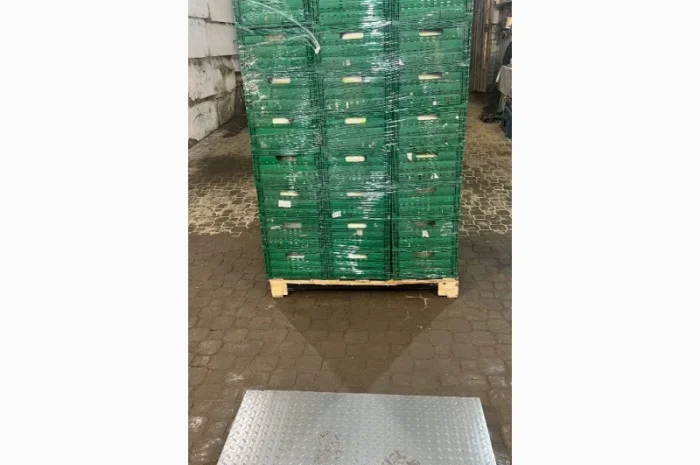 Продажа пекінської капусти Гібрид Білко- фото № 2