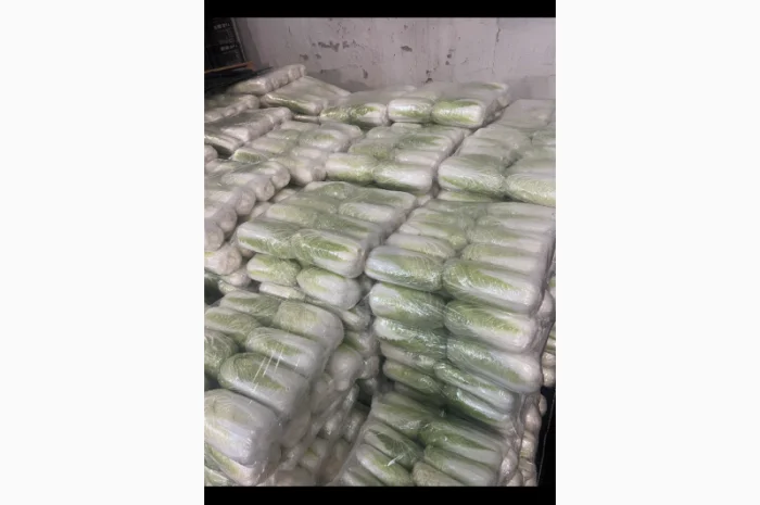 Продажа пекінської капусти Гібрид Білко- фото № 4