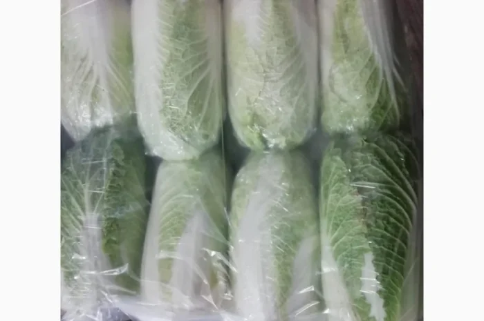 Пекинская капуста от фермера. Минимум 5 тонн- фото № 1