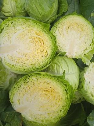 Капуста от фермерского хозяйства, от 5 тонн- фото № 1
