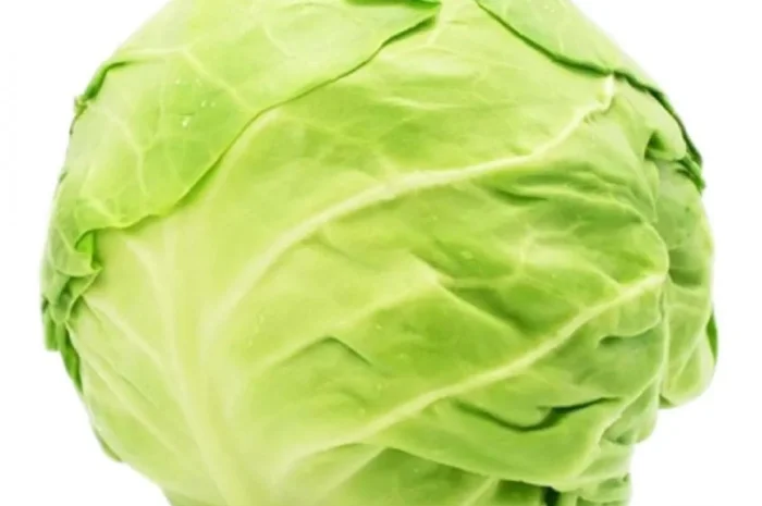 Закупівля капусти оптом- фото № 1