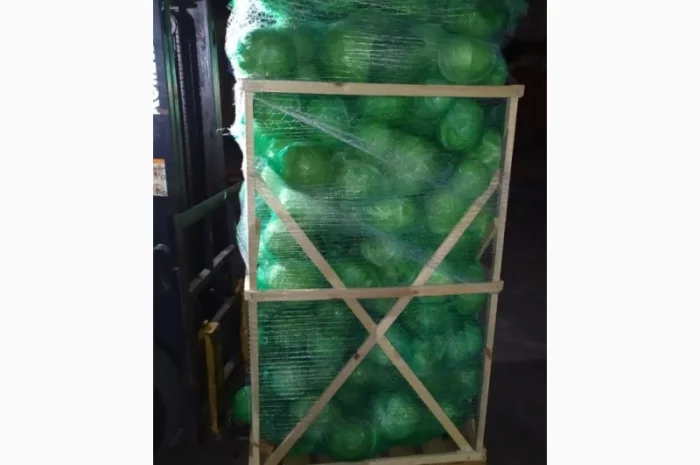 Продажа капусты белокачанной из Египта- фото № 1