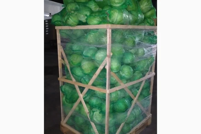 Продажа капусты белокачанной из Египта- фото № 4