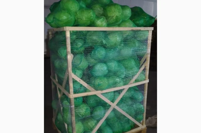 Продажа капусты белокачанной из Египта- фото № 5