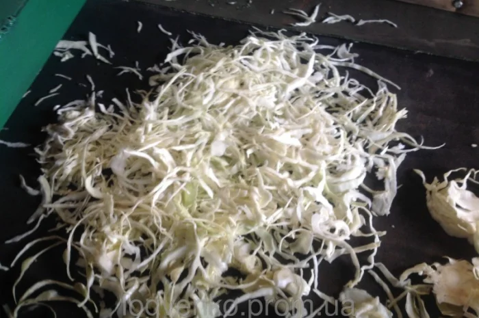 Шинковальная машина МШ-10000 для капусты- фото № 1