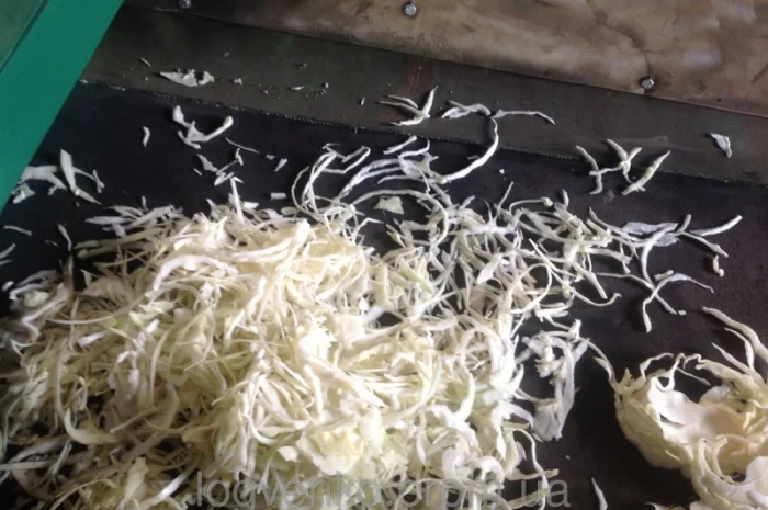 Шинковальная машина МШ-10000 для капусты- фото № 2