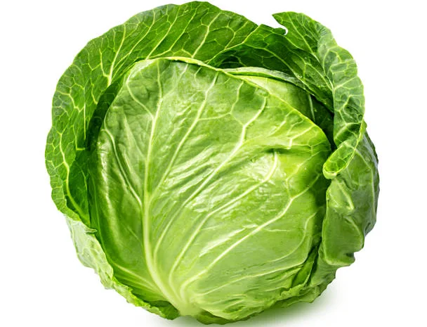 Куплю молоду капусту оптом- фото № 1