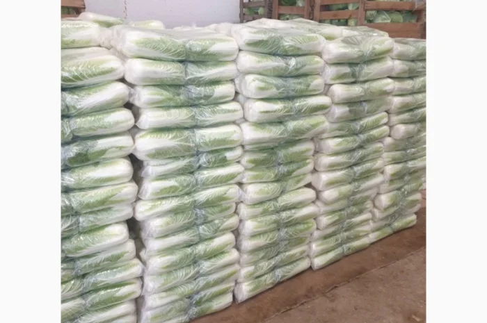 Пекінська капуста- фото № 1