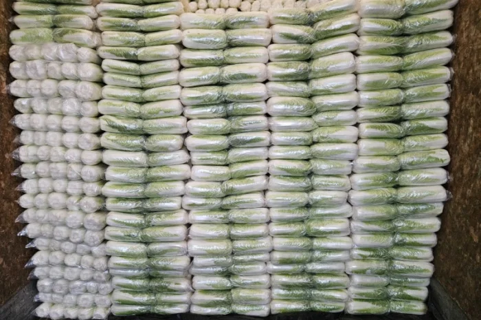 Продажа Пекінської капусти оптом- фото № 4