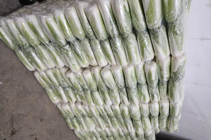 Продажа Пекінської капусти оптом- фото № 5