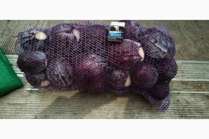 Куплю червонокачану капусту- фото № 1