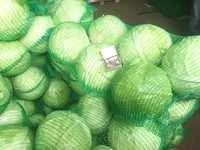 Закупка капусты белокачанной- фото № 1