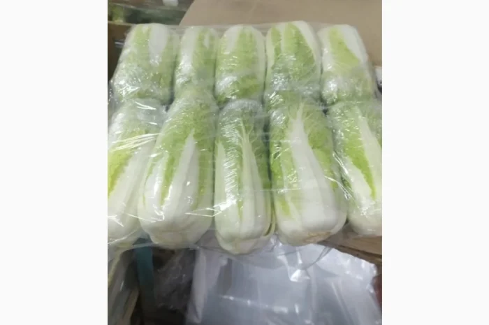 Пекінська капуста- фото № 1