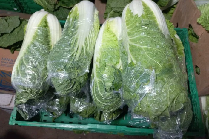 Пекінська капуста- фото № 2