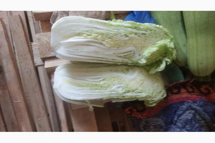 Пекінська капуста- фото № 3