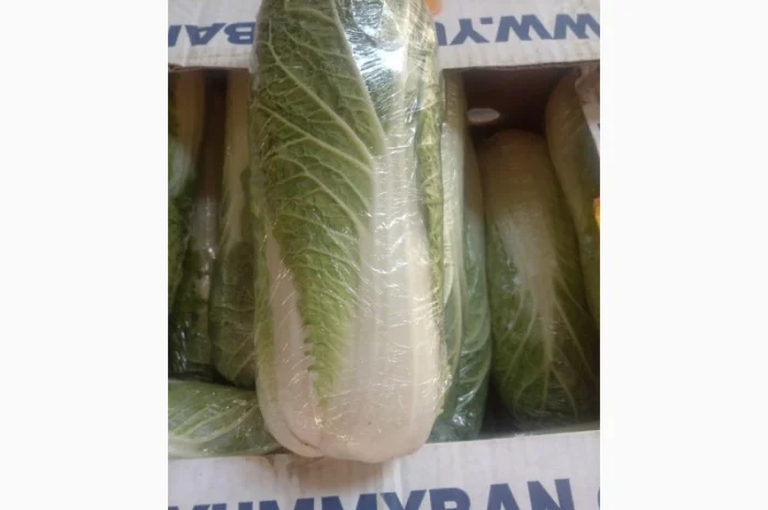 Пекінська капуста- фото № 4