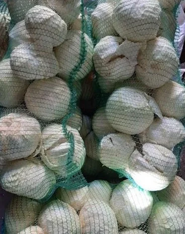 Куплю якісну капусту оптом- фото № 1