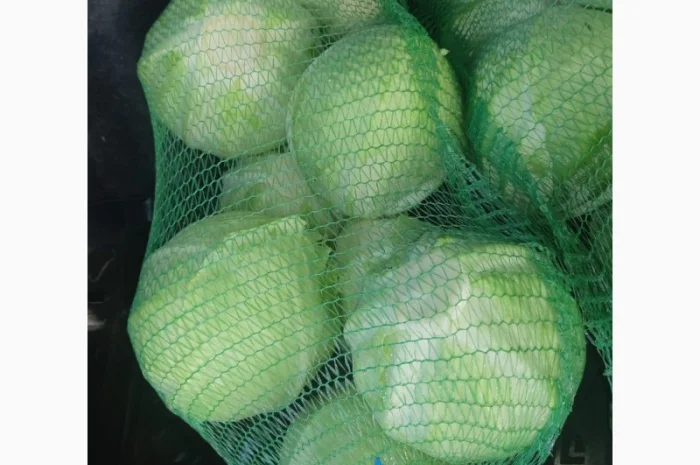 Капуста товарна оптом- фото № 1