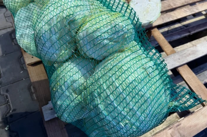 Капуста белокочанная- фото № 2