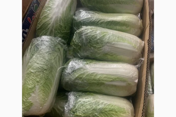 Пекинская капуста- фото № 3