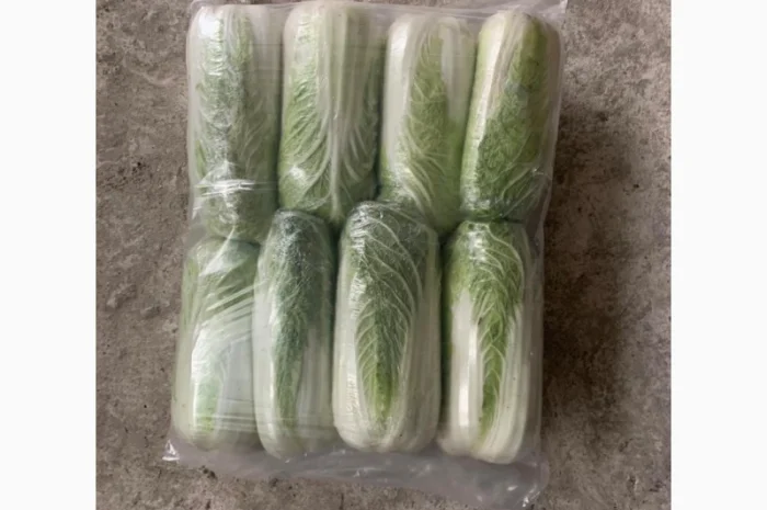Пекинская капуста- фото № 4
