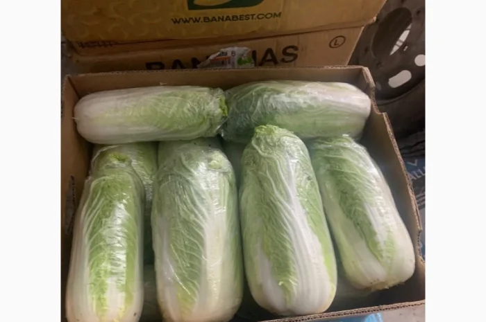 Пекинская капуста- фото № 6