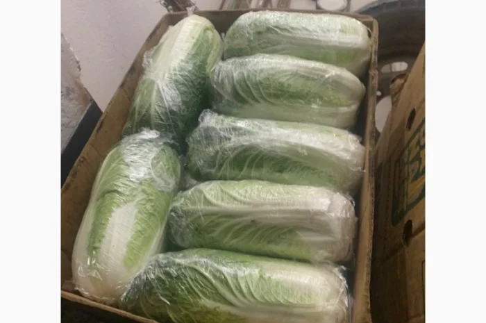 Пекинская капуста- фото № 7
