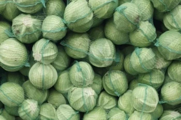 Капуста- фото № 5