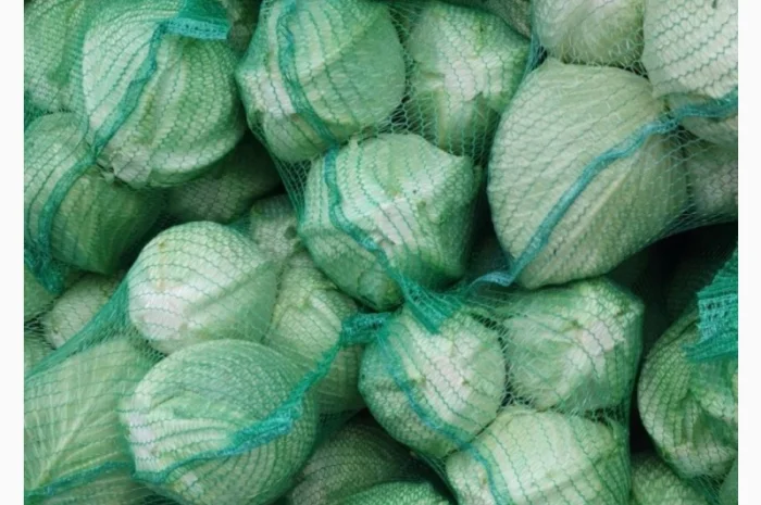 Капуста- фото № 1