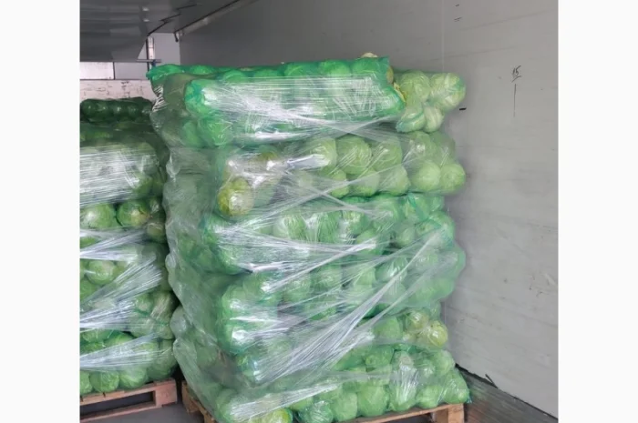 Молодая капуста- фото № 7