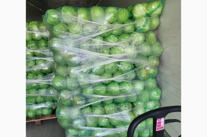 Молодая капуста- фото № 9