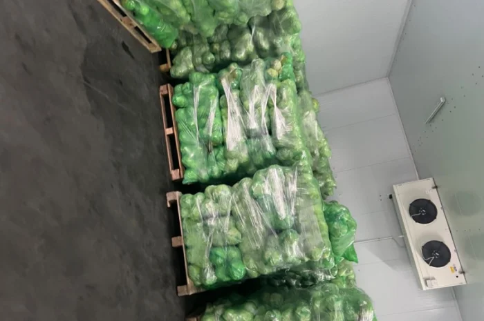 Молодая капуста- фото № 10