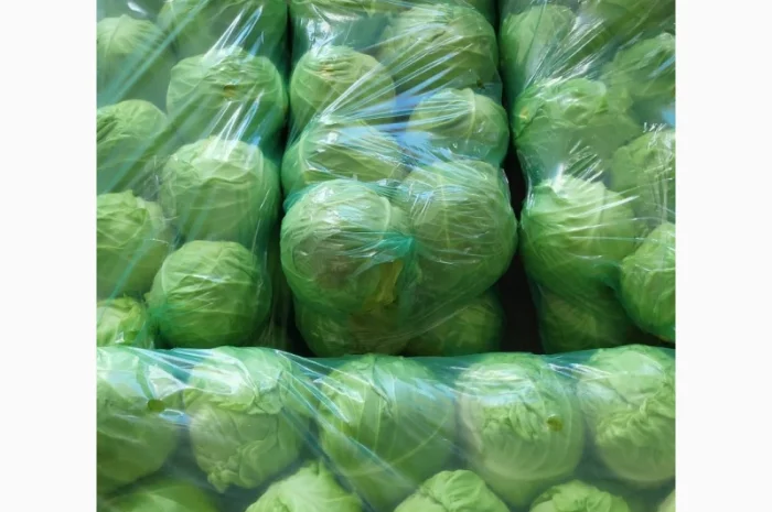Молодая капуста- фото № 2