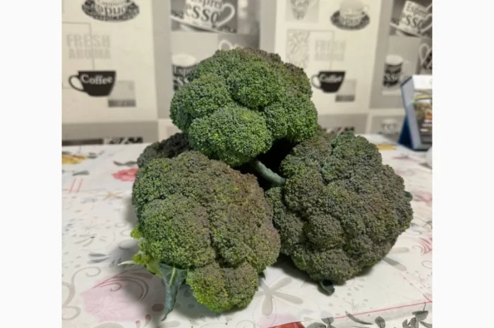 Продам капусту брокколи- фото № 2
