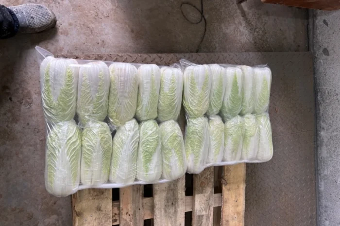 Продам Пікінку- фото № 1